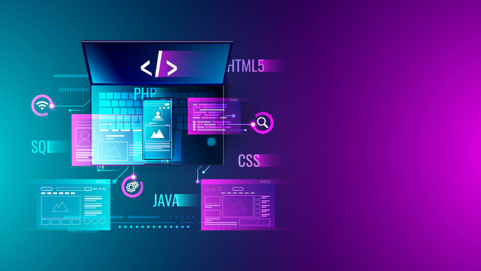 Digit Revolt Web Development SEO strategies